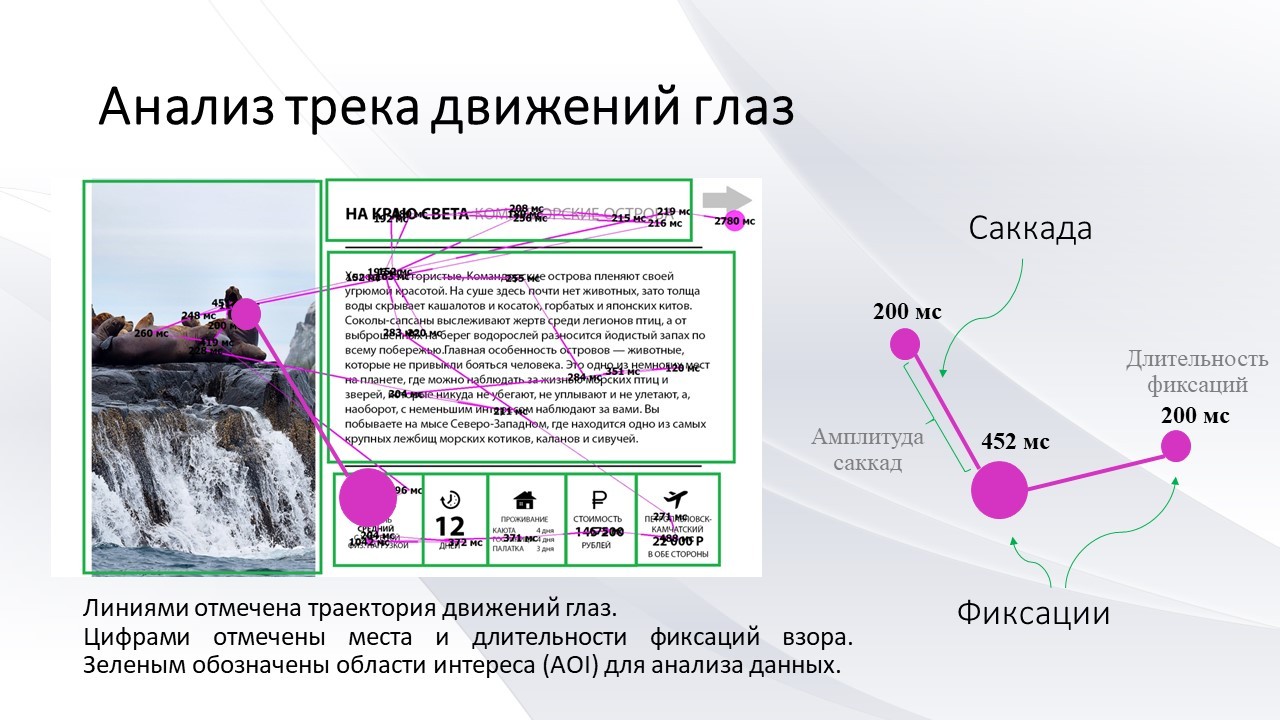 Айтрекинг, ЭЭГ и полиграфия при восприятии образовательных материалов —  Кафедра Высшей нервной деятельности МГУ имени М.В. Ломоносова