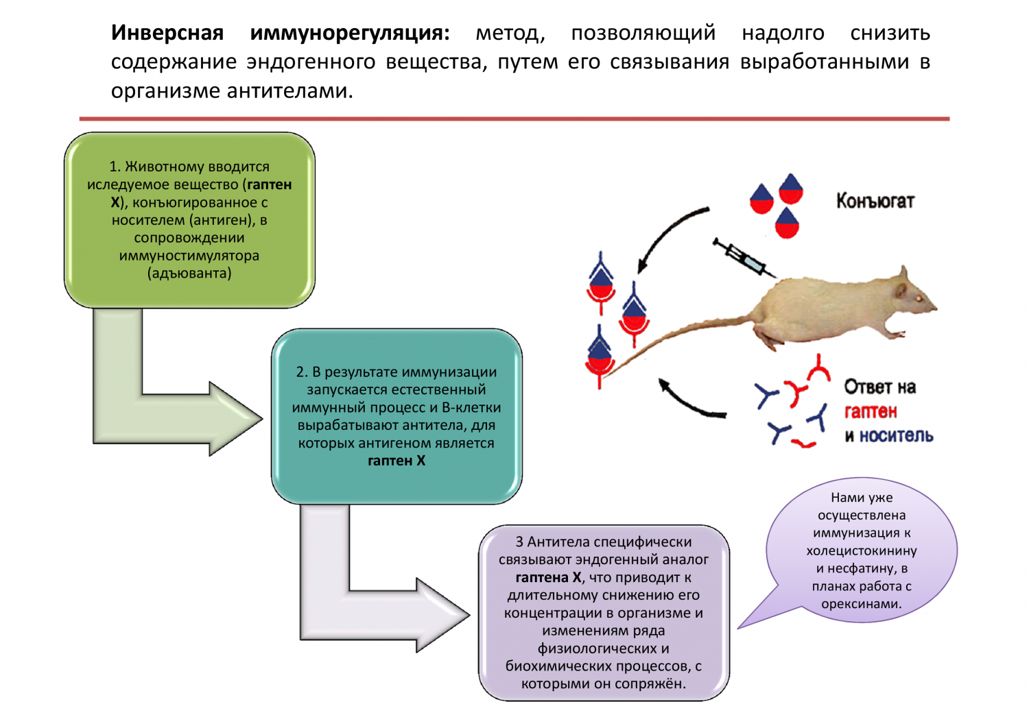 Реферат: Влияние повышенного и сниженного уровня моноаминов на функциональную организацию колонок C1 коры мозга крысы